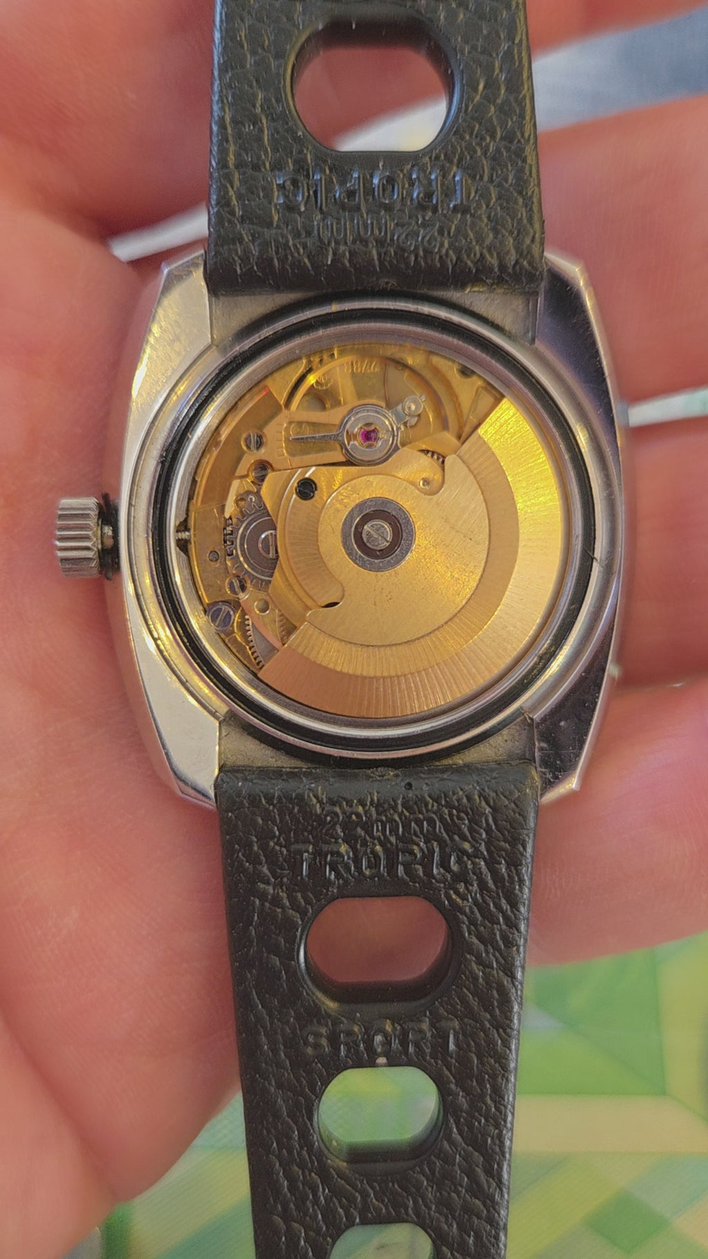Glycine Diver NOS