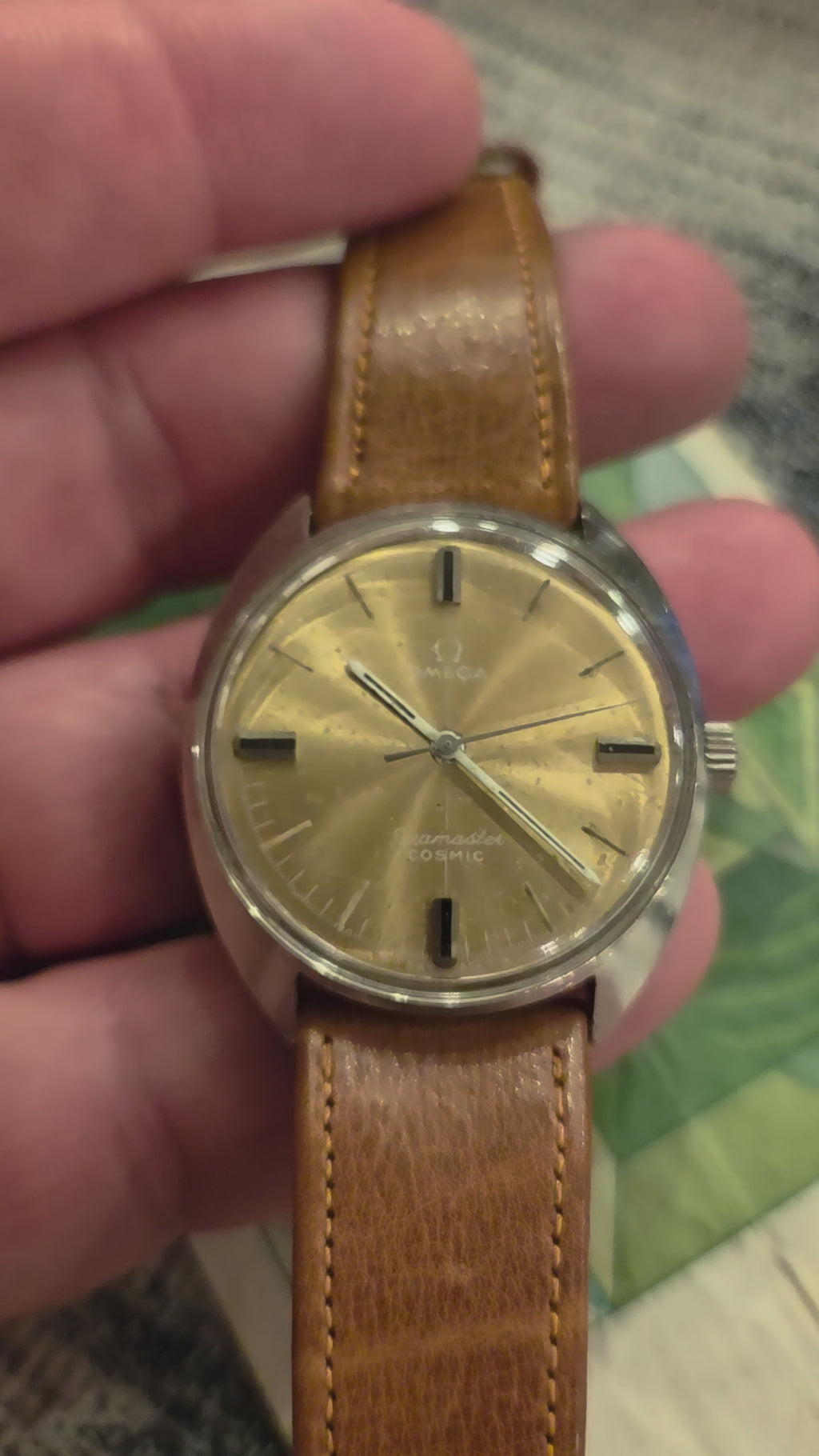 Omega Seamaster Cosmic